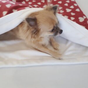 Dog Bed, Snuggle Bed, Pet Cave, Dog Sleeping Bag