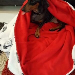 Dog Bed, Warm Dog Bed, Snuggle Bed, Dog Sleeping Bag